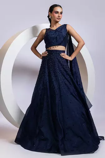 blue embroidered organza lehenga set
