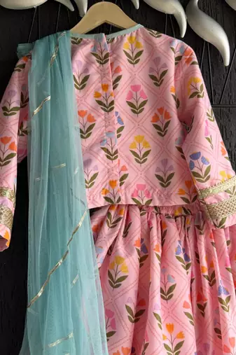 Pink Printed Cotton Silk Lehenga