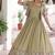 Light green zari & sequins embroidered work vichitra silk stitched kurta gown