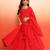 Elegant Red Chikankari Lehenga Blouse with Dupatta for Girls