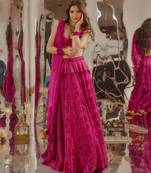 Pink Silk Embroidered Velvet Lehenga with Blouse & Net Dupatta 
