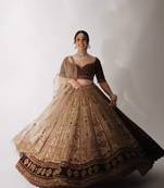 Dark Brown Velvet Sequins & Dori Work All Over Front & Back Lehenga Set
