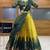 Yellow Embroidered Taffeta lehenga choli