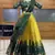 Yellow Embroidered Taffeta lehenga choli