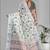 off white  linen  digital print saree (white)