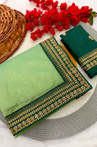 light green net saree with sequins embroidered work