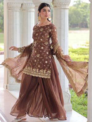 Coffee Sequins Embroidered Organza Salwar Kameez 2