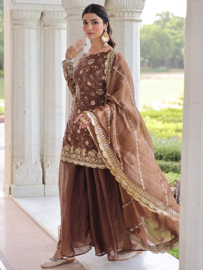 Coffee Sequins Embroidered Organza Salwar Kameez