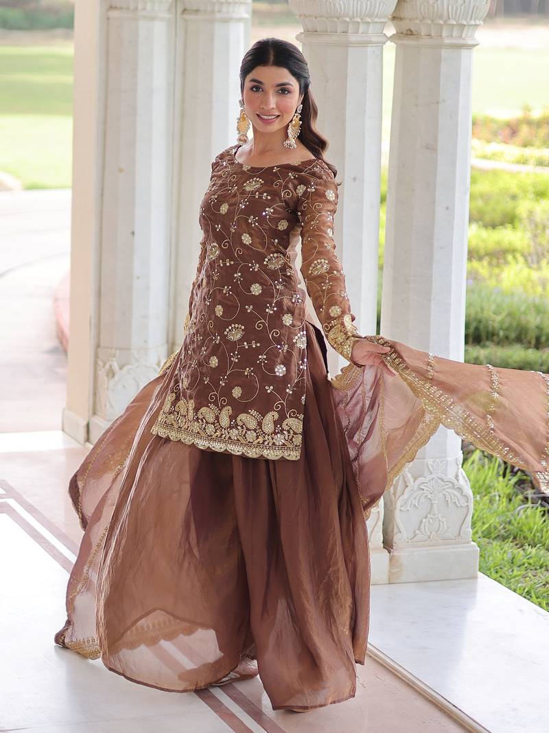 Coffee Sequins Embroidered Organza Salwar Kameez