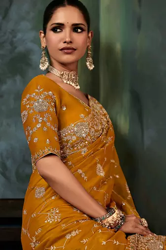 Orange fancy fabric embroidered saree