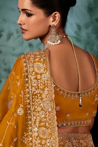 Orange fancy fabric embroidered saree