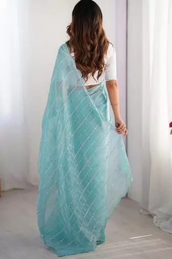 sky blue zimmy choo embroidered saree ceremonial looks