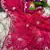 soft  georgette bandhani print saree with pitha work embroidery & mono bangalori blouse