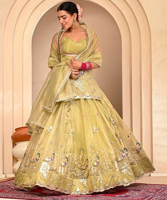Mint Green Embroidered Lehanga Set With Blouse 3