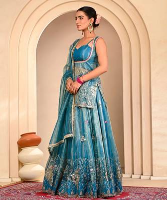 Blue Embroidered Lehanga Set With Blouse 4