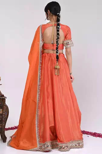 Orange Cosmo Aaina Lehenga Set With Blouse