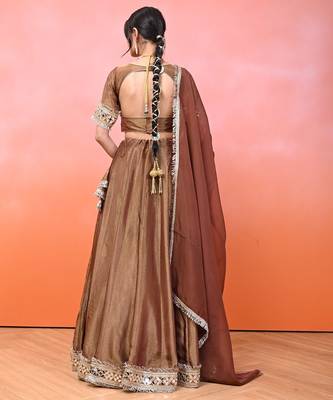 Brown Cosmo Aaina Lehenga Set With Blouse 2