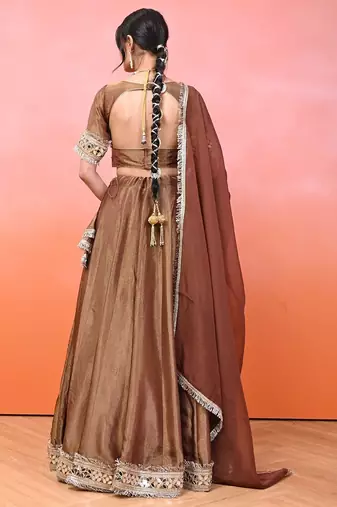 Brown Cosmo Aaina Lehenga Set With Blouse