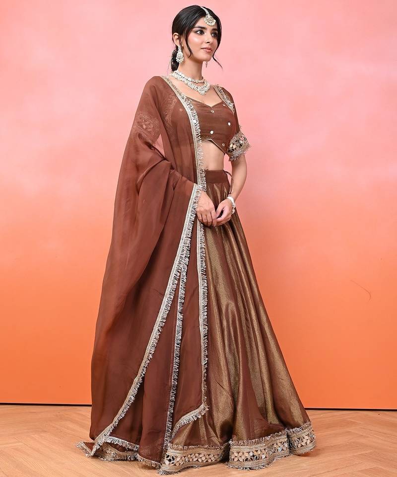 Brown Cosmo Aaina Lehenga Set With Blouse