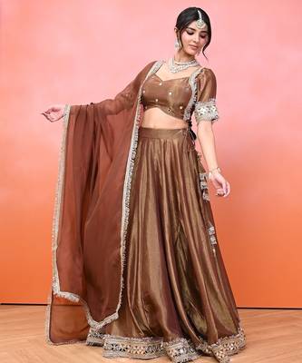 Brown Cosmo Aaina Lehenga Set With Blouse 4