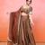 Brown Cosmo Aaina Lehenga Set With Blouse