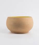 Lime terra salad bowl