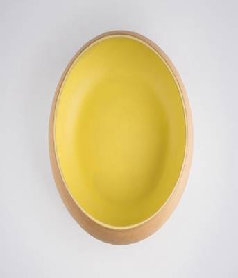 Lime terra salad bowl 3
