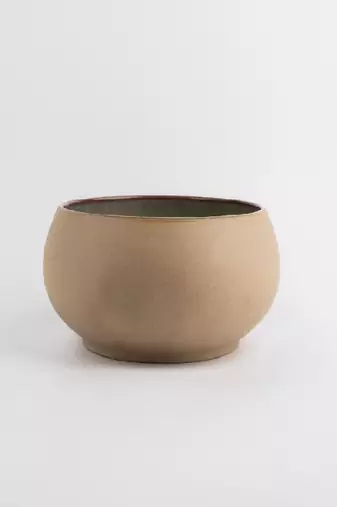 Lime terra salad bowl
