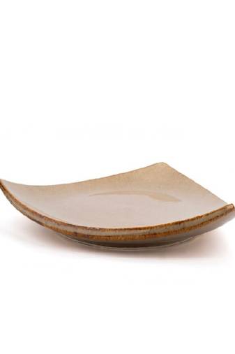 Prism plates- set of 2