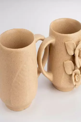 Desert bloom mugs- set of 2