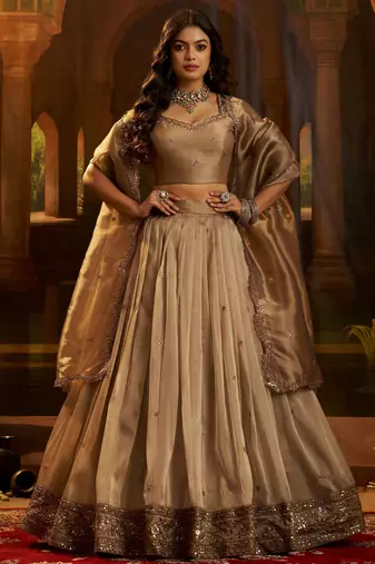 brown sequins organza lehenga set choli with dupatta