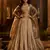 brown sequins organza lehenga set choli with dupatta