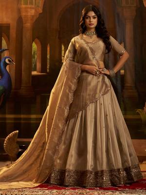 brown sequins organza lehenga set choli with dupatta 2