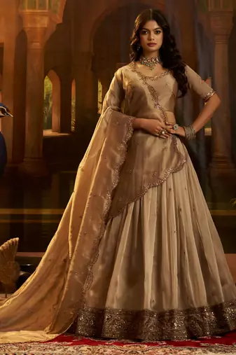 brown sequins organza lehenga set choli with dupatta