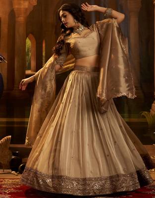 brown sequins organza lehenga set choli with dupatta 3