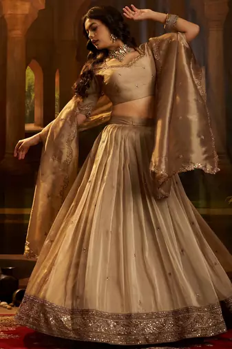 brown sequins organza lehenga set choli with dupatta