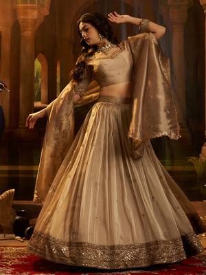 brown sequins organza lehenga set choli with dupatta 4