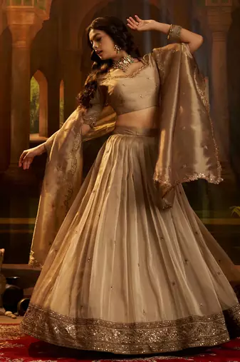 brown sequins organza lehenga set choli with dupatta