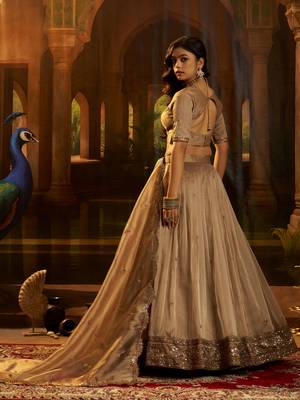 brown sequins organza lehenga set choli with dupatta 5