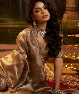 brown sequins organza lehenga set choli with dupatta 7