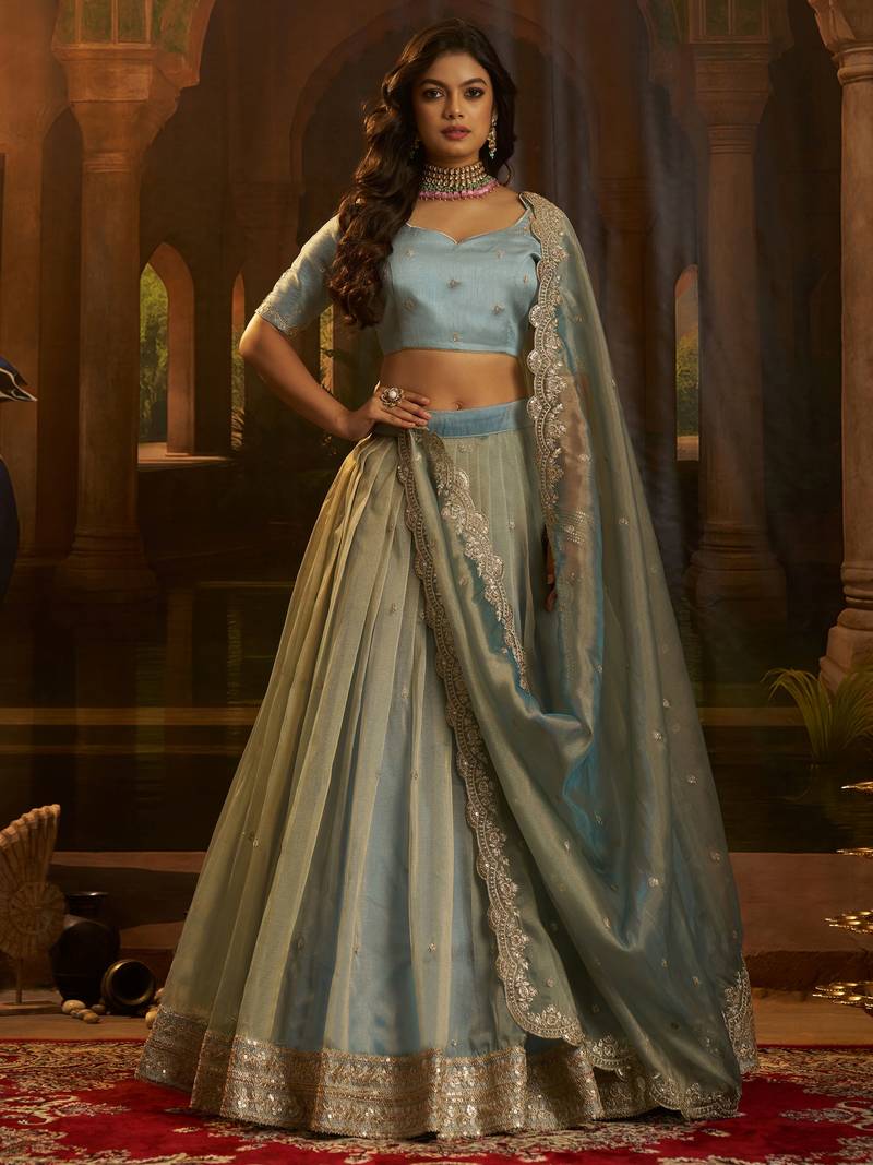 blue dori embroidered organza lehenga set choli with dupatta