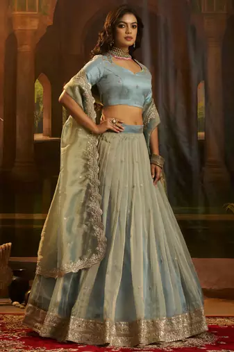 blue dori embroidered organza lehenga set choli with dupatta