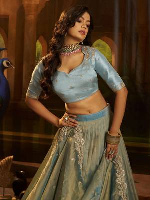 blue dori embroidered organza lehenga set choli with dupatta 4