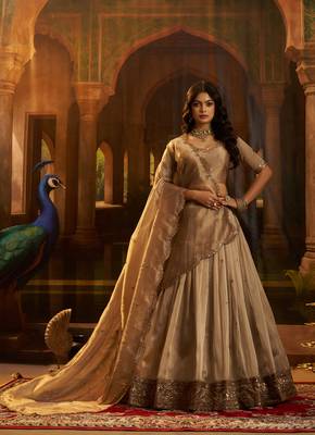 brown organza embroidered lehenga choli with dupatta 1