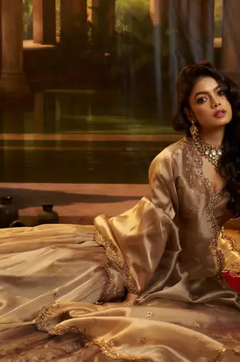 brown organza embroidered lehenga choli with dupatta