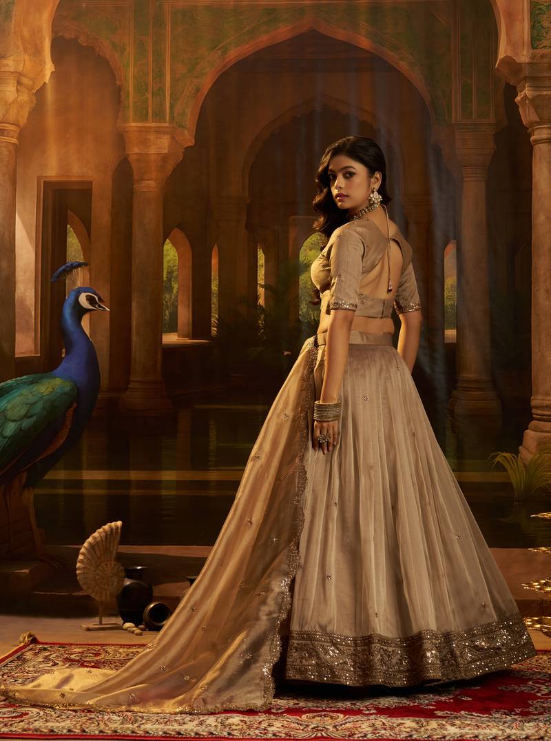 brown organza embroidered lehenga choli with dupatta