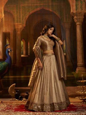 brown organza embroidered lehenga choli with dupatta 5