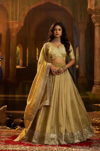 olive organza embroidered lehenga choli with dupatta