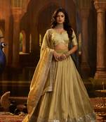 olive organza embroidered lehenga choli with dupatta