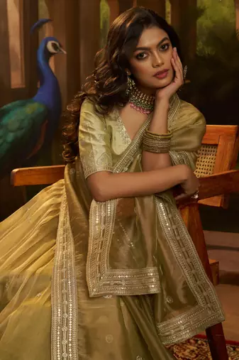 olive organza embroidered lehenga choli with dupatta